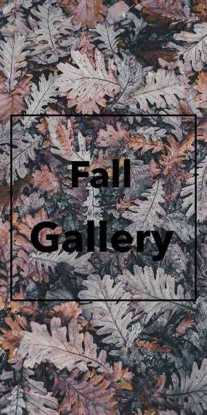 FMZ Fall Gallery