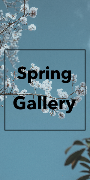 FMZ Spring Gallery