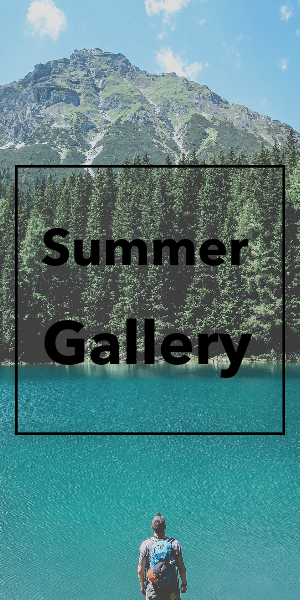 FMV Summer Gallery