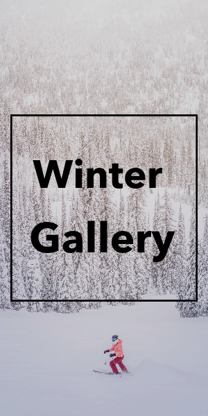 FMZ Winter Gallery