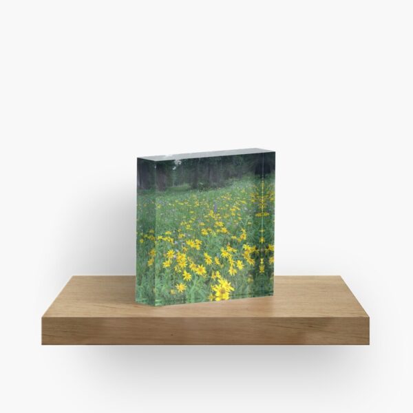 Mountain wild flowers Art Print - Image 2