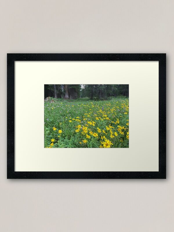 Mountain wild flowers Art Print - Image 4